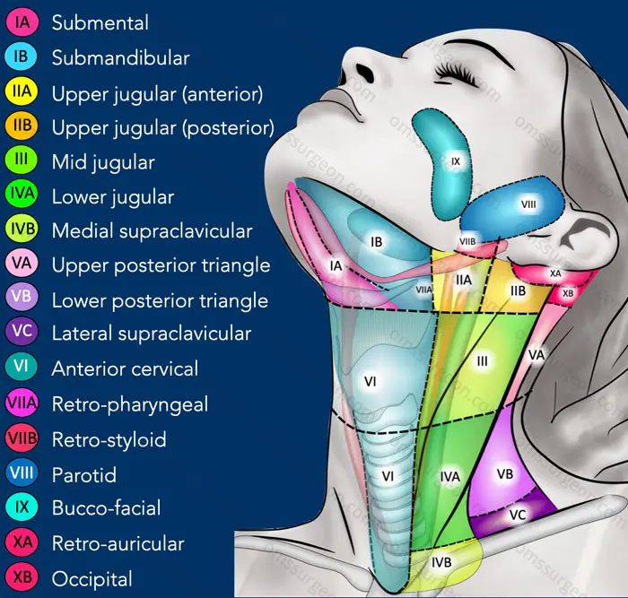 fig-overview